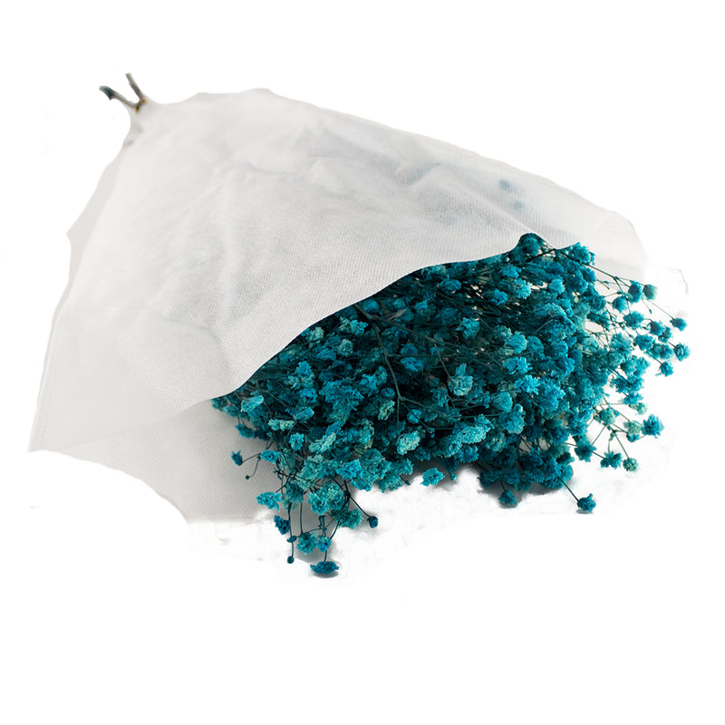 PRESERVED GYPSOFYLLO BLUE