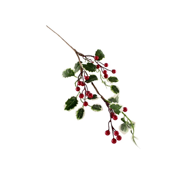 X-MAS BERRY STEM