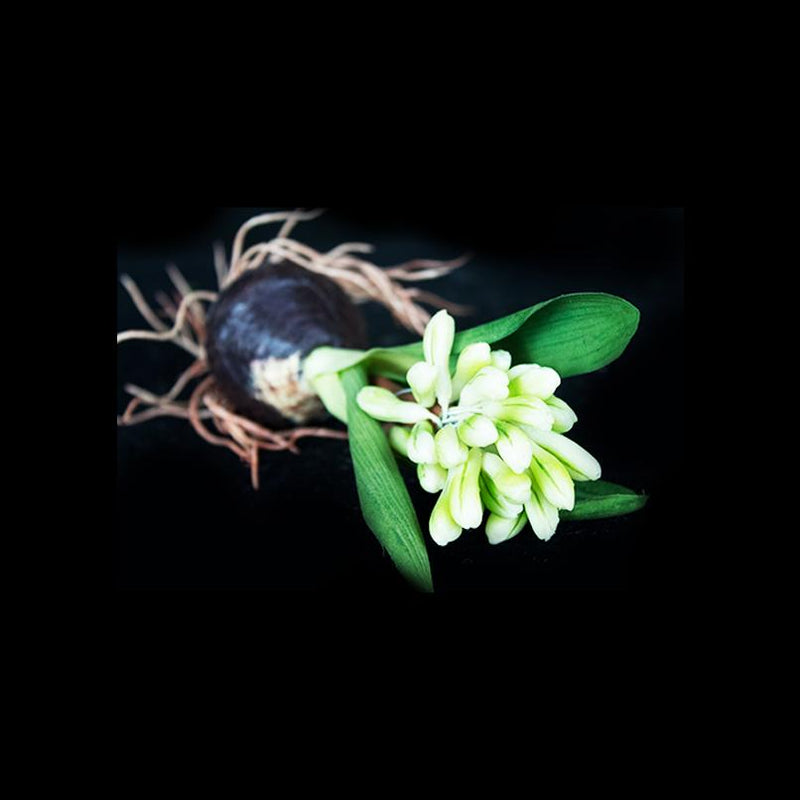 Artificial roots 20cm - Deventor