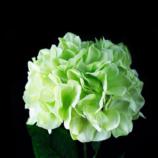 Hydrangea-95cm - Deventor