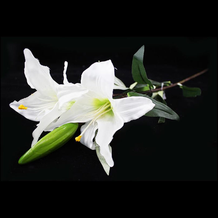 Lilium 82cm - Deventor