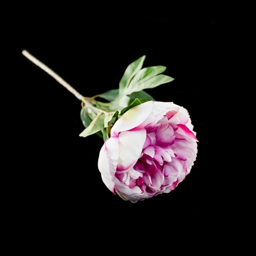 Peony Stem - Deventor